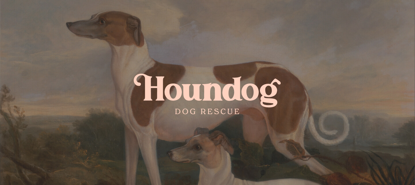 Houndog Image